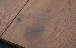 OAK TITAN — миниатюра