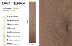 OAK TERRA — миниатюра